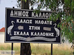 Welkom in Skala Kallonis - Foto van De Griekse Gids