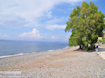 Het zand- kiezelstrand in Eftalou nabij Molyvos - Foto van De Griekse Gids