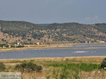 Natuurgebied voor vogels aan de baai van Kalloni foto 2 - Foto van De Griekse Gids
