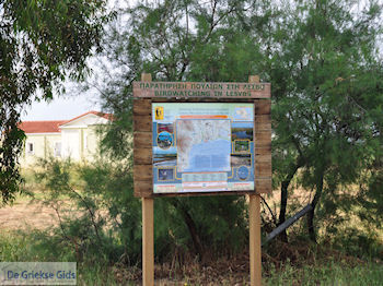 Birdwatching in Lesbos - Foto van https://www.grieksegids.nl/fotos/eilandlesbos/350pixels/eiland-lesbos-foto-011.jpg