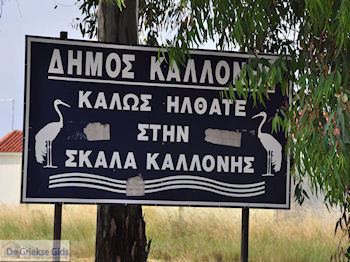 Welkom in Skala Kallonis - Foto van https://www.grieksegids.nl/fotos/eilandlesbos/350pixels/eiland-lesbos-foto-012.jpg