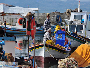 De vissers aan het vissershaventje - Foto van https://www.grieksegids.nl/fotos/eilandlesbos/350pixels/eiland-lesbos-foto-015.jpg