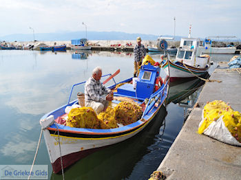 De vissers van Skala Kallonis - Foto van https://www.grieksegids.nl/fotos/eilandlesbos/350pixels/eiland-lesbos-foto-020.jpg