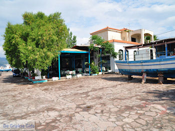 Terrasje aan het sfeervolle haventje van Skala Kallonis - Foto van https://www.grieksegids.nl/fotos/eilandlesbos/350pixels/eiland-lesbos-foto-021.jpg