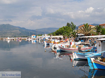 Het kleurrijke haventje van Skala Kallonis - Foto van https://www.grieksegids.nl/fotos/eilandlesbos/350pixels/eiland-lesbos-foto-025.jpg
