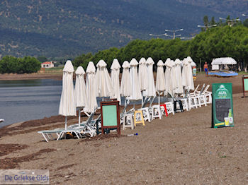 Ligbedden staan klaar aan het strand van Skala Kallonis - Foto van https://www.grieksegids.nl/fotos/eilandlesbos/350pixels/eiland-lesbos-foto-036.jpg