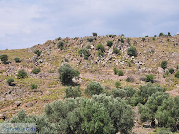 Ten westen van de baai van Kalloni foto 002 - Foto van https://www.grieksegids.nl/fotos/eilandlesbos/350pixels/eiland-lesbos-foto-041.jpg