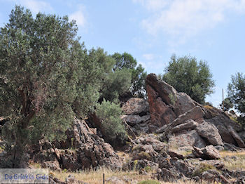 Ten westen van de baai van Kalloni foto 003 - Foto van https://www.grieksegids.nl/fotos/eilandlesbos/350pixels/eiland-lesbos-foto-042.jpg