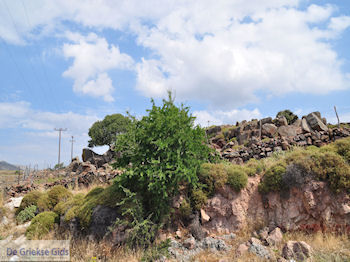 Rotsen onderweg naar Eressos foto 001 - Foto van https://www.grieksegids.nl/fotos/eilandlesbos/350pixels/eiland-lesbos-foto-047.jpg