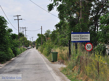 Aankomst in Skala Eressos - Foto van https://www.grieksegids.nl/fotos/eilandlesbos/350pixels/eiland-lesbos-foto-063.jpg