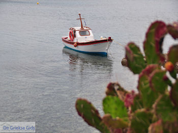 Vissersbootje Sigri foto 2 - Foto van https://www.grieksegids.nl/fotos/eilandlesbos/350pixels/eiland-lesbos-foto-122.jpg