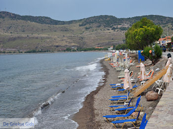 Zand- kiezelstrand Petra - Foto van https://www.grieksegids.nl/fotos/eilandlesbos/350pixels/eiland-lesbos-foto-164.jpg