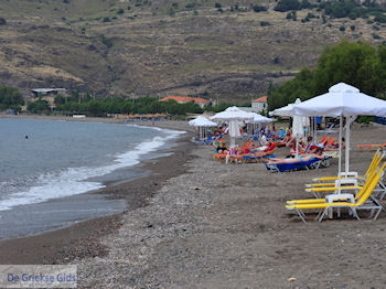 Blue Flag strand Petra foto 3 - Foto van https://www.grieksegids.nl/fotos/eilandlesbos/350pixels/eiland-lesbos-foto-173.jpg