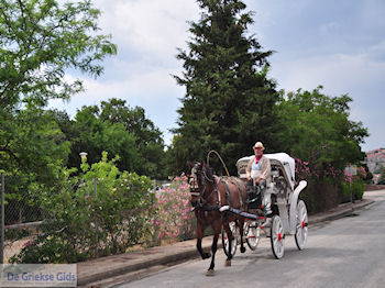 Molyvos (Molivos) foto 6 - Foto van https://www.grieksegids.nl/fotos/eilandlesbos/350pixels/eiland-lesbos-foto-187.jpg