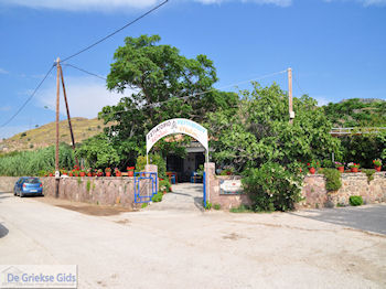 Restaurant Eftalou nabij Molyvos foto 1 - Foto van https://www.grieksegids.nl/fotos/eilandlesbos/350pixels/eiland-lesbos-foto-241.jpg