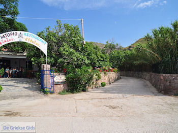 Restaurant Eftalou nabij Molyvos foto 3 - Foto van https://www.grieksegids.nl/fotos/eilandlesbos/350pixels/eiland-lesbos-foto-244.jpg