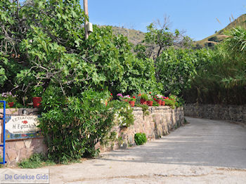 Restaurant Eftalou nabij Molyvos foto 4 - Foto van https://www.grieksegids.nl/fotos/eilandlesbos/350pixels/eiland-lesbos-foto-245.jpg