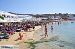 Platis Gialos Mykonos | Griekenland 13 - Foto van De Griekse Gids