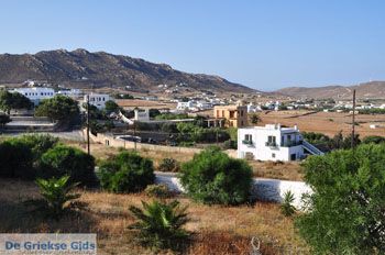 Ano Mera | Mykonos | Griekenland - De Griekse Gids foto 1 - Foto van https://www.grieksegids.nl/fotos/eilandmykonos/350pixels/mykonos-fotos-010.jpg