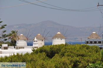 Mykonos stad (Chora) | Griekenland 82 - Foto van https://www.grieksegids.nl/fotos/eilandmykonos/350pixels/mykonos-fotos-116.jpg
