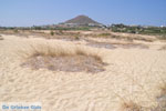 Agios Prokopios strand | Eiland Naxos | Griekenland | Foto 29 - Foto van De Griekse Gids