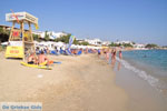 Agia Anna | Eiland Naxos | Griekenland | Foto 16 - Foto van De Griekse Gids