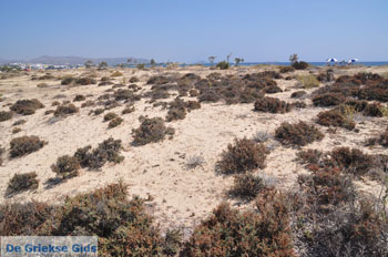 Agios Prokopios strand | Eiland Naxos | Griekenland | Foto 2 - Foto van https://www.grieksegids.nl/fotos/eilandnaxos/350pixels/eiland-naxos-007.jpg