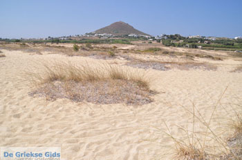 Agios Prokopios strand | Eiland Naxos | Griekenland | Foto 29 - Foto van https://www.grieksegids.nl/fotos/eilandnaxos/350pixels/eiland-naxos-034.jpg