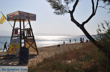 Agia Anna | Eiland Naxos | Griekenland | Foto 8 - Foto van https://www.grieksegids.nl/fotos/eilandnaxos/350pixels/eiland-naxos-046.jpg