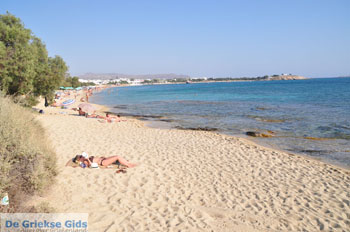 Agia Anna | Eiland Naxos | Griekenland | Foto 15 - Foto van https://www.grieksegids.nl/fotos/eilandnaxos/350pixels/eiland-naxos-053.jpg