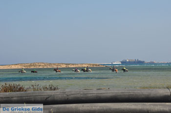 Naxos stad | Eiland Naxos | Griekenland | foto 16 - Foto van https://www.grieksegids.nl/fotos/eilandnaxos/350pixels/eiland-naxos-078.jpg