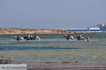 Naxos stad | Eiland Naxos | Griekenland | foto 17 - Foto van https://www.grieksegids.nl/fotos/eilandnaxos/350pixels/eiland-naxos-079.jpg