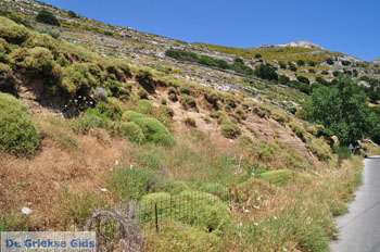 Apiranthos | Eiland Naxos | Griekenland | Foto 4 - Foto van https://www.grieksegids.nl/fotos/eilandnaxos/350pixels/eiland-naxos-112.jpg
