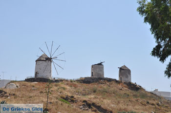 Naxos stad | Eiland Naxos | Griekenland | foto 25 - Foto van https://www.grieksegids.nl/fotos/eilandnaxos/350pixels/eiland-naxos-147.jpg