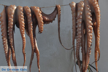 Naxos stad | Eiland Naxos | Griekenland | foto 34 - Foto van https://www.grieksegids.nl/fotos/eilandnaxos/350pixels/eiland-naxos-156.jpg