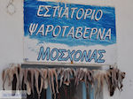 Naoussa Paros | Cycladen | Griekenland foto 94 - Foto van De Griekse Gids