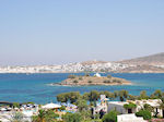Naoussa Paros | Cycladen | Griekenland foto 106 - Foto van De Griekse Gids