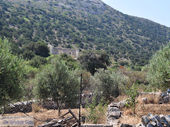 Marathi Paros | Cycladen | Griekenland foto 12 - Foto van https://www.grieksegids.nl/fotos/eilandparos/350px/fotos-paros-012.jpg