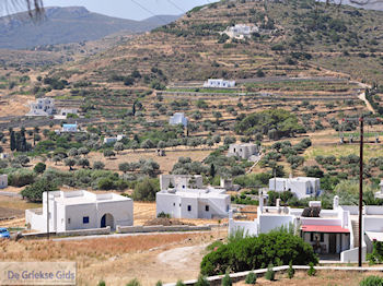 Kostos Paros | Cycladen | Griekenland foto 5 - Foto van https://www.grieksegids.nl/fotos/eilandparos/350px/fotos-paros-018.jpg
