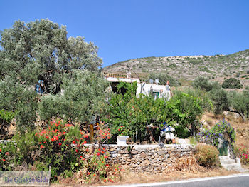 Kostos Paros | Cycladen | Griekenland foto 16 - Foto van https://www.grieksegids.nl/fotos/eilandparos/350px/fotos-paros-029.jpg