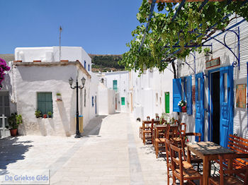 Lefkes Paros | Cycladen | Griekenland foto 33 - Foto van https://www.grieksegids.nl/fotos/eilandparos/350px/fotos-paros-063.jpg