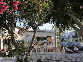 Parikia Paros | Cycladen | Griekenland foto 11 - Foto van https://www.grieksegids.nl/fotos/eilandparos/350px/fotos-paros-154.jpg