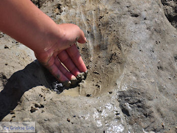 Molos Paros | Cycladen | Kalogeras Paros foto 10 - Foto van https://www.grieksegids.nl/fotos/eilandparos/350px/fotos-paros-197.jpg