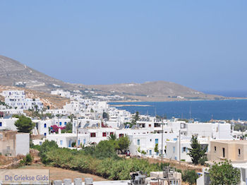 Naoussa Paros | Cycladen | Griekenland foto 3 - Foto van https://www.grieksegids.nl/fotos/eilandparos/350px/fotos-paros-205.jpg