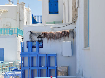 Naoussa Paros | Cycladen | Griekenland foto 21 - Foto van https://www.grieksegids.nl/fotos/eilandparos/350px/fotos-paros-223.jpg