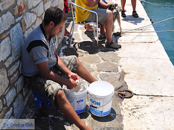 Naoussa Paros | Cycladen | Griekenland foto 40 - Foto van https://www.grieksegids.nl/fotos/eilandparos/350px/fotos-paros-242.jpg