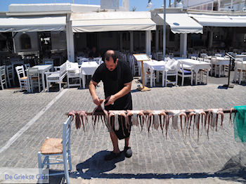 Naoussa Paros | Cycladen | Griekenland foto 63 - Foto van https://www.grieksegids.nl/fotos/eilandparos/350px/fotos-paros-265.jpg