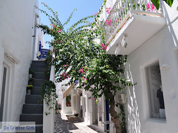 Naoussa Paros | Cycladen | Griekenland foto 83 - Foto van https://www.grieksegids.nl/fotos/eilandparos/350px/fotos-paros-285.jpg
