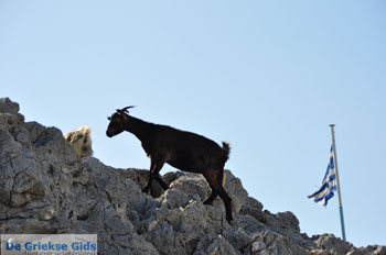 Pserimos Griekenland | Foto 40 - Foto van https://www.grieksegids.nl/fotos/eilandpserimos/pserimos/normaal/pserimos-grieksegids-001040.jpg