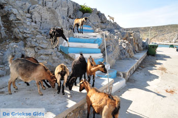 Pserimos Griekenland | Foto 41 - Foto van https://www.grieksegids.nl/fotos/eilandpserimos/pserimos/normaal/pserimos-grieksegids-001041.jpg